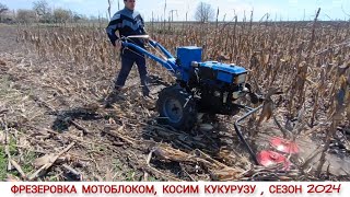 ВЕСЕННИЕ РАБОТЫ МОТОБЛОКОМ, КОСИМ КУКУРУЗУ , ПРОПОЛКА ФРЕЗОЙ / CORN HARVESTING SEASON 2024