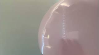 Balloon episode 🎈108336