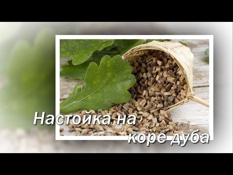 Настойка на коре дуба