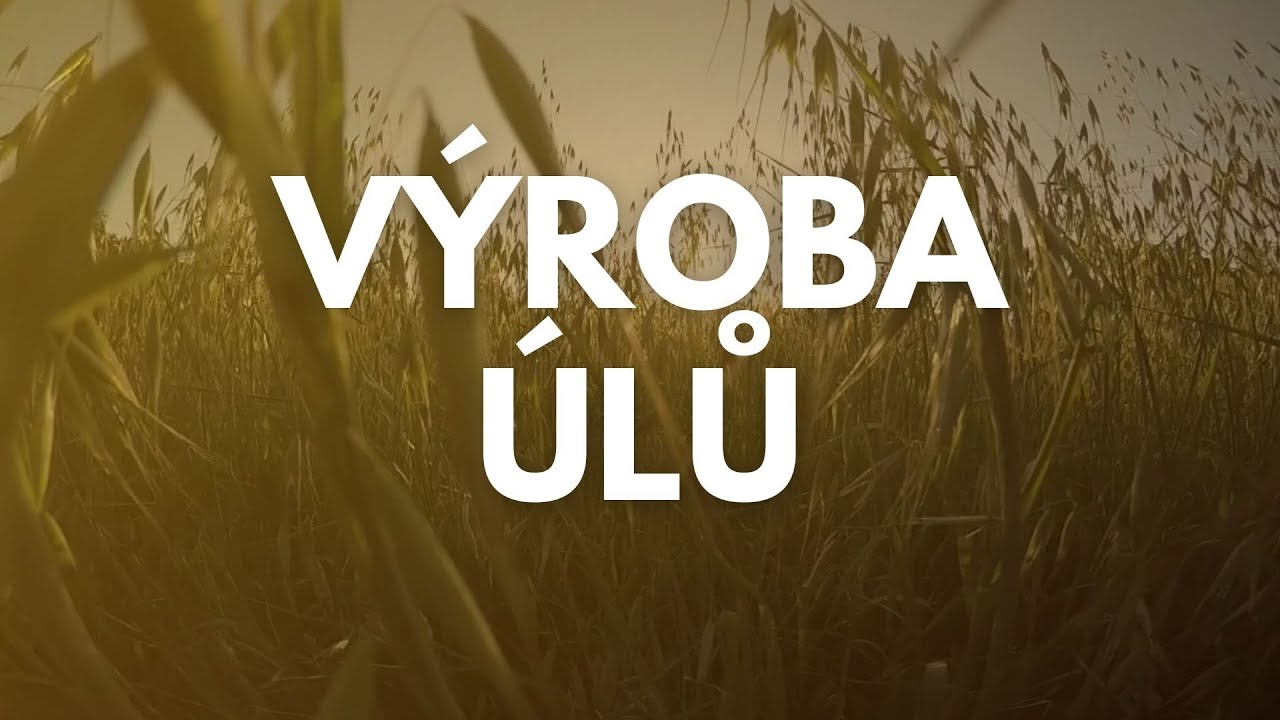 Včely - Výroba úlu z OSB desek