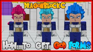 How to get Super Saiyan God, Super Saiyan Blue and Super Saiyan Blue Evolution ! Dragon Block C screenshot 5