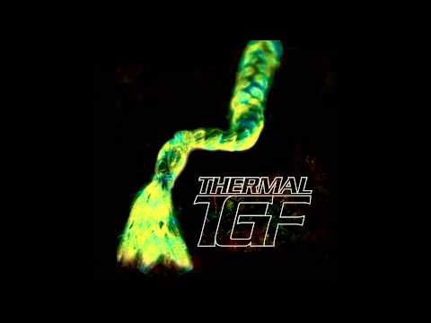 Teengirl Fantasy — Teengirl Fantasy - "Cavescape" (Official Audio)