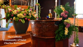 The Baptism of the Lord - January 10-11, 2026