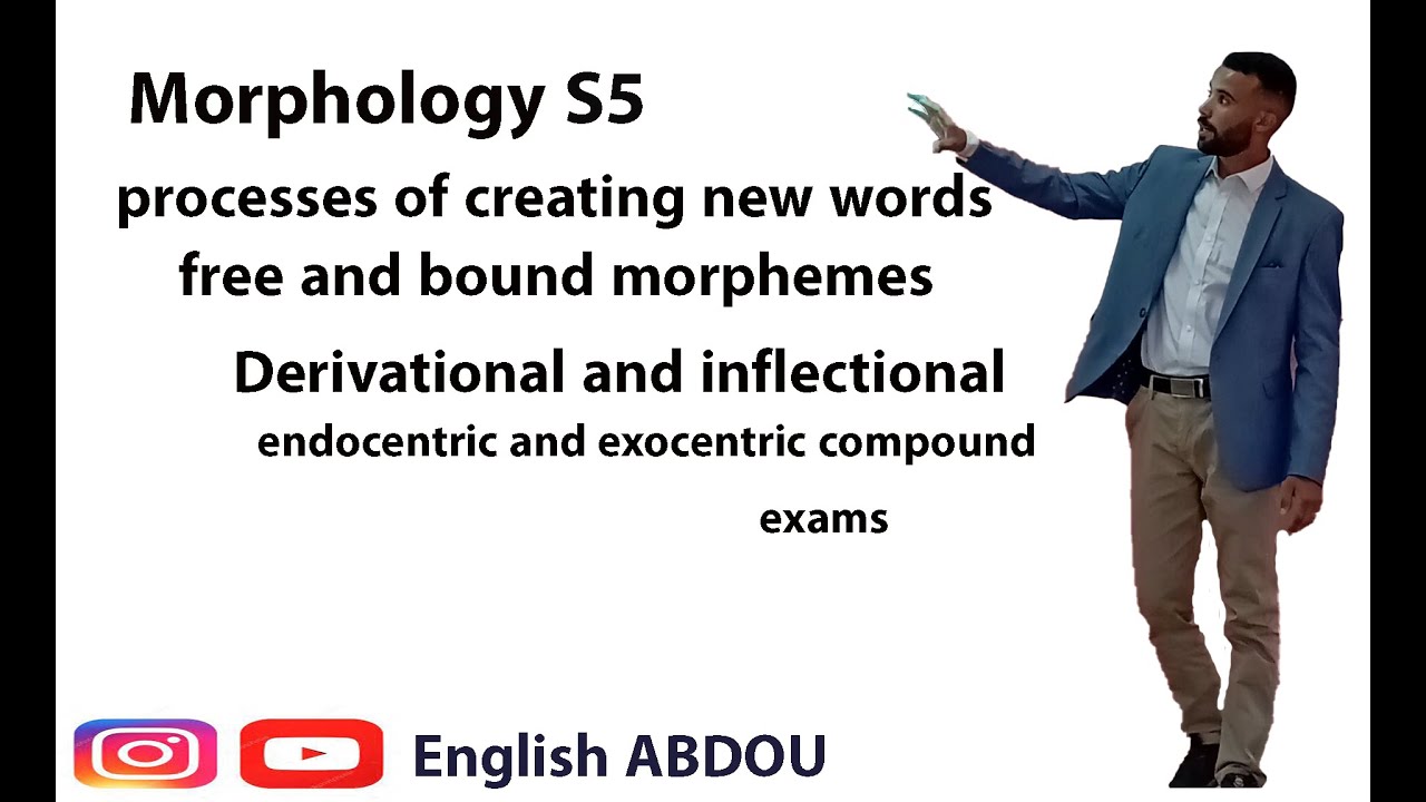 Morphology S5: The whole course in 28 minutes with exams with ABDOU