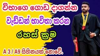 විභාග ගොඩයන්න වැඩ්ඩන් භාවිතා කරන රහස් ක්‍රම. The Biggest Secret of a Toppers. / Sinhala Study TIPS