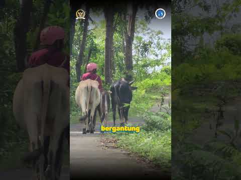 Agraria Bukan Cuma Soal Tanah 🌾