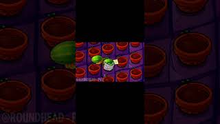 deixa ela lê zumbão 💀🔥 🧟 #pvz #jogo #animation #edit #pvz1 #animationmeme #vaiprofycaramba