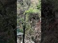 #bhalugaad #lifeisbutadream #travel #uttrakhand