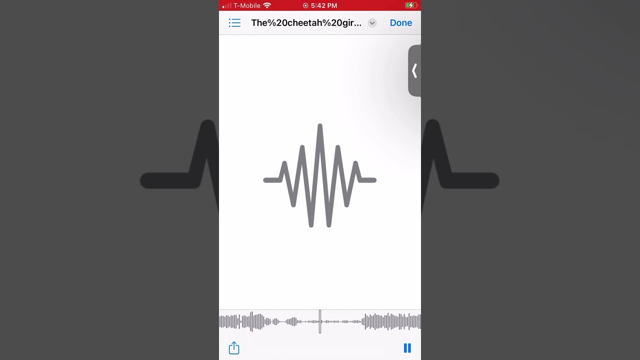 AMIGAS CHEETAHS, CHEETAH GIRLS (ACAPELLA)