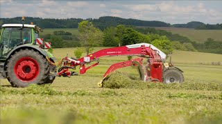 Psov dkova Pttinger Mergento