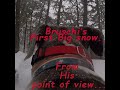 Bruschi The Pitbull & His human Explore #1: Bruschi's first big snow, from His point of view...