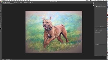 Wacom Touch Ring, Rotate, Photoshop