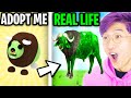 LankyBox Watches ADOPT ME IN REAL LIFE  With WINTER PETS!? (NEW ADOPT ME PETS IN REAL LIFE!?)