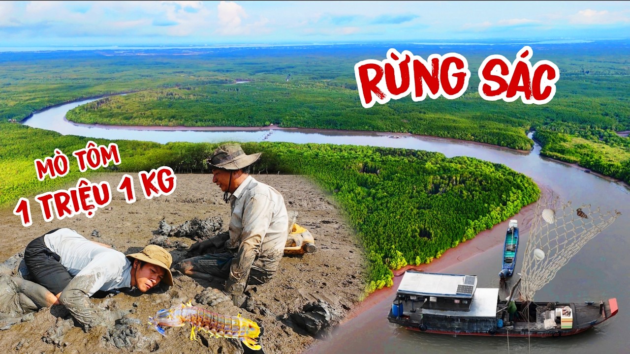 Lặn lội vất vả giữa rừng để mưu sinh | Cuộc sống mưu sinh giữa Rừng Sác