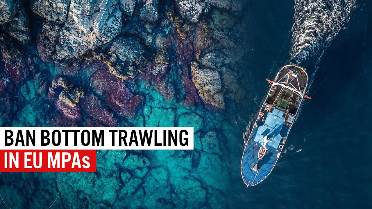 Ban bottom trawling in MPAs now