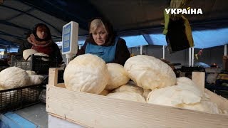Хищная капуста | Реальная мистика Хищная капуста | Реальная мистика