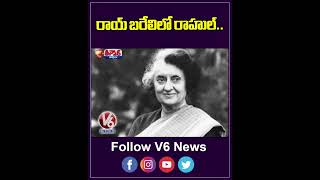 రాయ్ బరేలిలో రాహుల్ | V6 News
