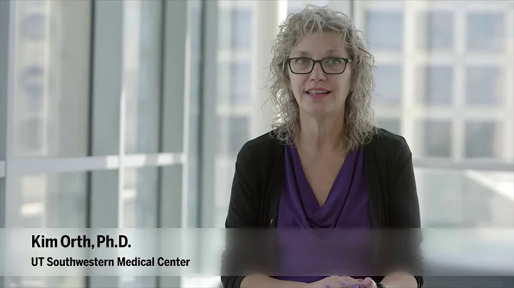 2019 O'Donnell Award in Science: Julie Pfeiffer, U...