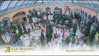 Bellagio Conservatory & Botanical Gardens: Summer2025