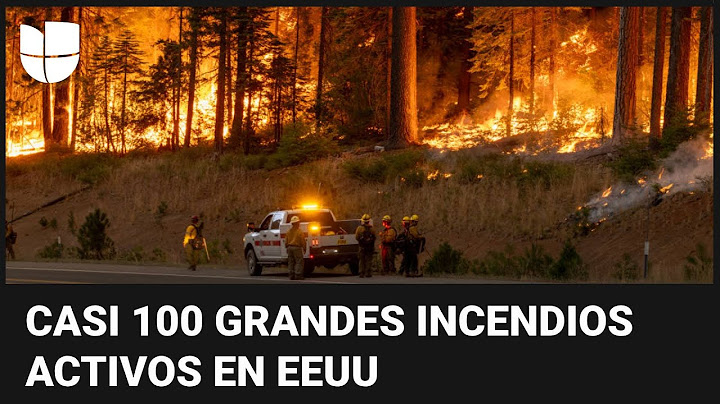 EEUU lucha contra casi 100 incendios activos en varios estados: prevén nueva ola de calor