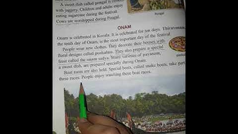 Evs Chapter  Festivals are fun part 2