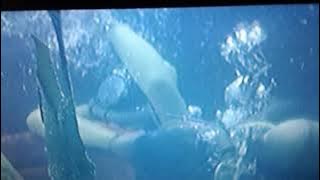 VIAGGIO in FONDO al MARE..CLIP FILM