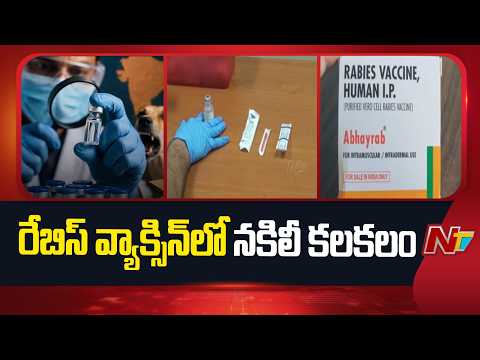 Abhayrab Rabies Vaccine: అభయ్⁪రాబ్ వ్యాక్సిన్‌లో నకిలీ కలకలం | NTV Telugu - NTVTELUGU