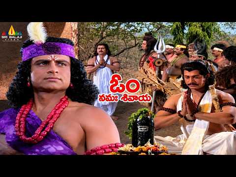 అర్జునుడికి శివుడికి మధ్య ఘోర యుద్ధం | Lord Shiva Vs Arjun | Om Namah Shivaya Telugu Serial