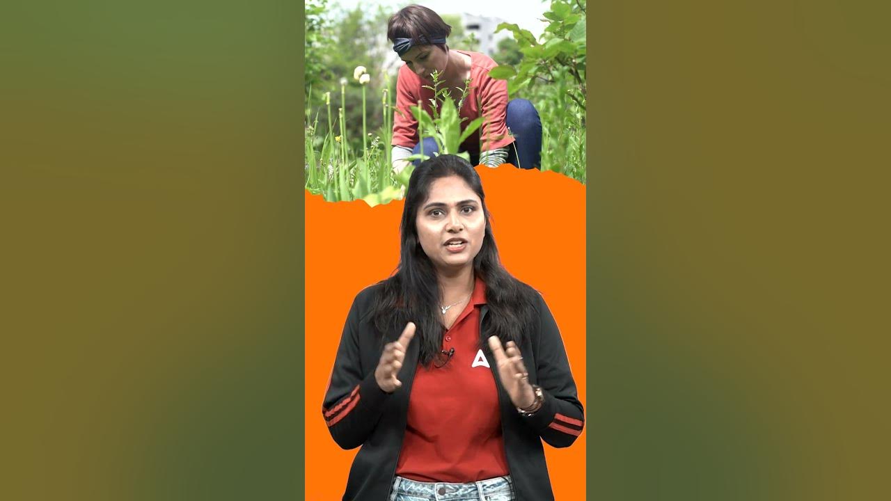 get-the-green-light-idiom-super-trick-by-pratibha-maam-shortsvideo
