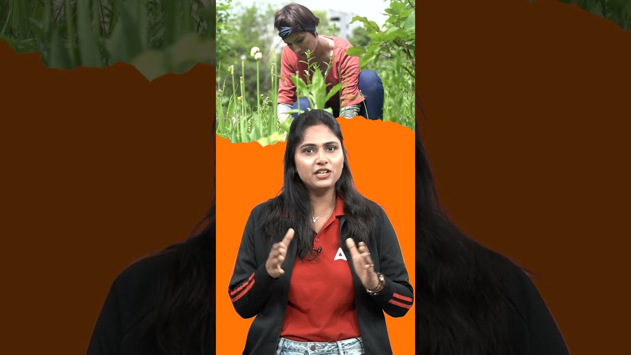 Get The Green Light Idiom Super Trick By Pratibha Maam shortsvideo Get The Green Light Idiom Super Trick By Pratibha Maam shortsvideo