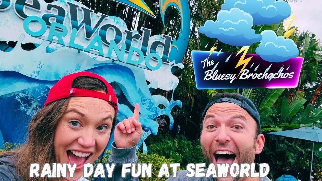 rainy-day-things-to-do-at-seaworld-youtube