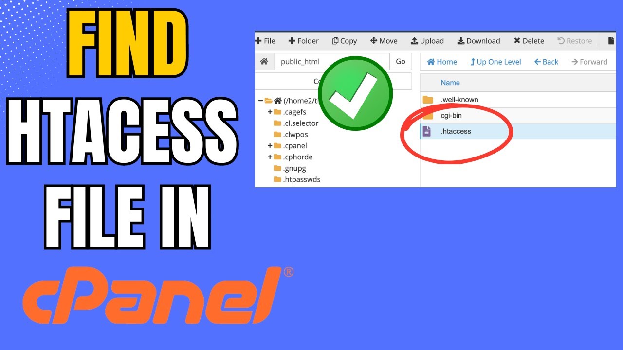 Htaccess File Not Showing in Cpanel | Locate Htaccess File in Cpanel