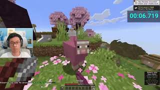 Minecraft Pink Upside Down T WORLD RECORD vs My TAS
