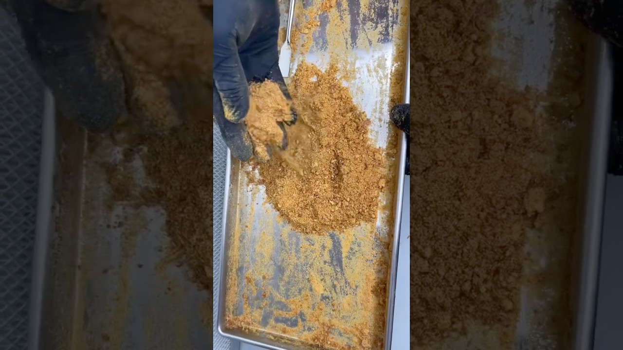 Converting Lions Mane Mushroom Dual Extract Liquid into a Powder 