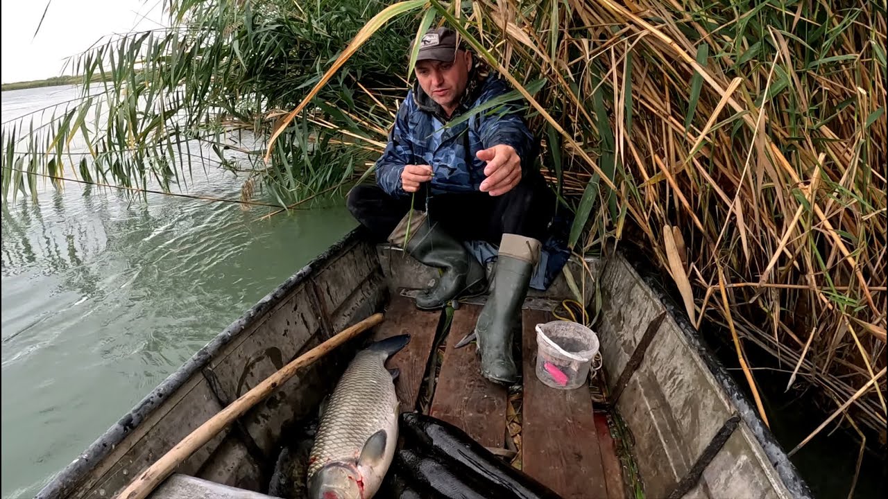 Рыбалка в Дельте реки ИЛИ. Осенний жор белого АМУРА. Столько Амура я никогда не упускал!!!