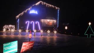 Smart Decor and More Holiday Light Show- Dancing Trees