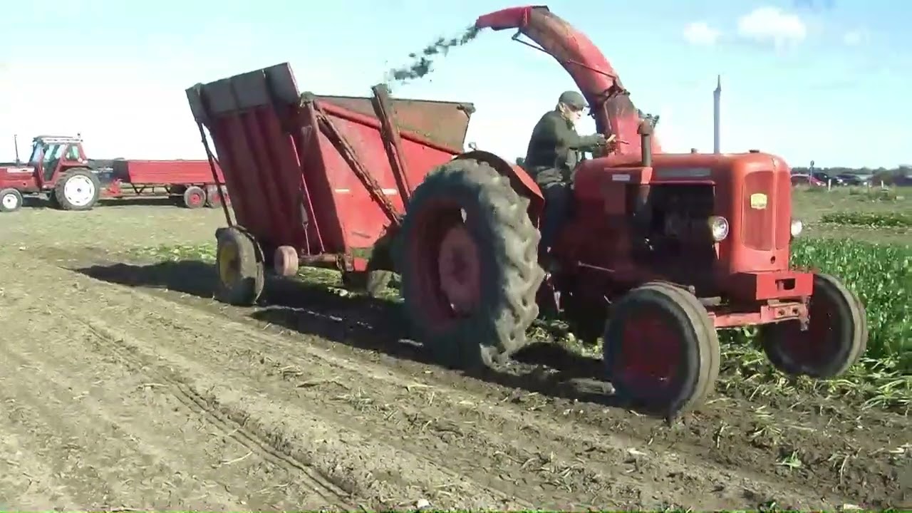 Roeoptagning i Arninge