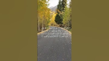 Surah Al Takathur - سورة التكاثر  - Qari Hani ar-Rifai