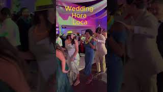 Hora loca at Wedding in Houston Tx