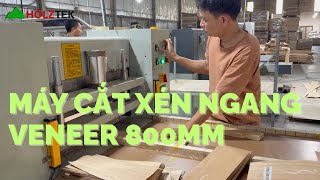Máy Cắt Xen Ngang Veneer - Holztek - HT 800VC