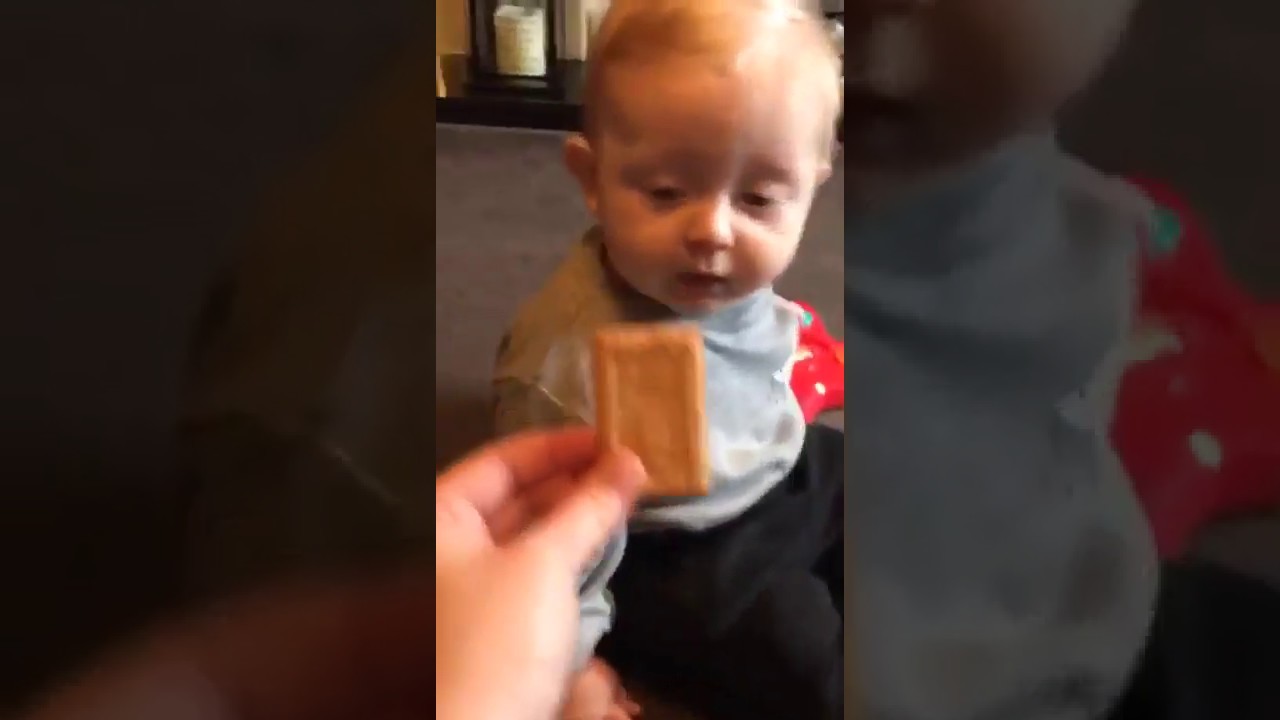 milk biscuits for babies