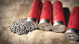 Understanding Shotgun Ammo for Hunting