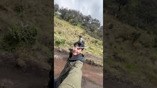 cari kehidupan biar hidup #explore #mountains #pendaki #lawu #fouryou #beranda