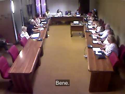 Video Consiglio comunale del 29 luglio 2026