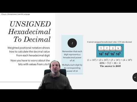 Unsigned Decimal to Hexadecimal Conversion (And Vice Versa)