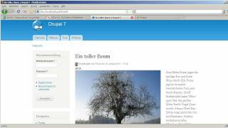 CSS the easy Way - mit Firefox und Firebug