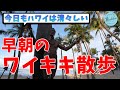 【今日もハワイは清々しい】早朝のワイキキ散歩・波の音でリラックス