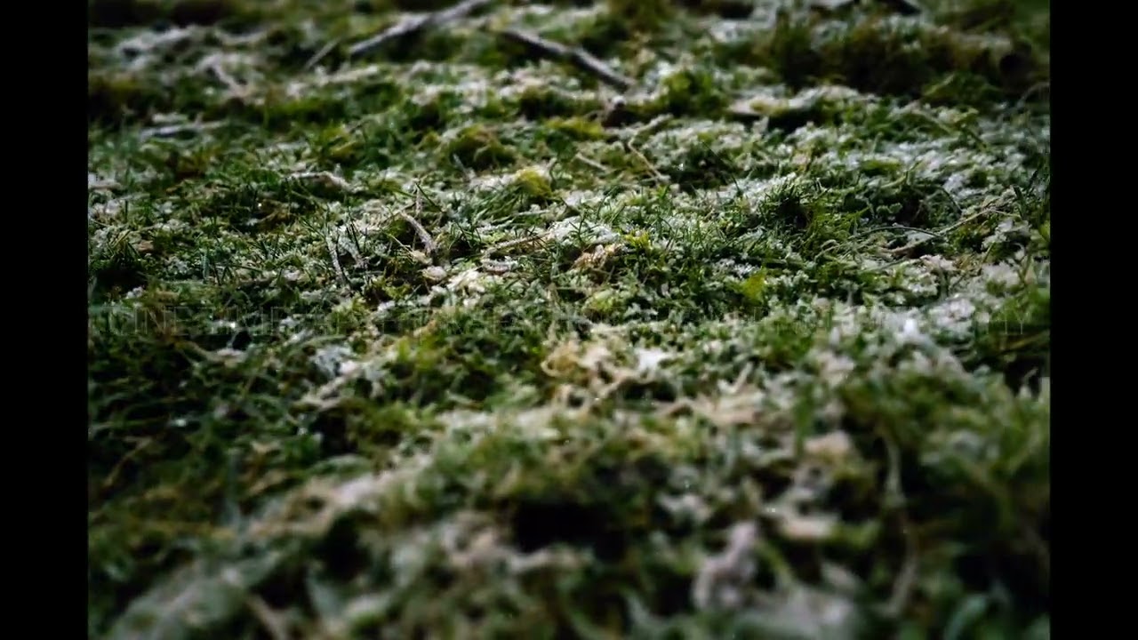 Cine Timelapse | Wicklow Mountains Frozen Grass | IE_WW_20260103D_30p