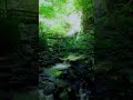 Gliding Through a Mossy Highland Stream #scotland #highland