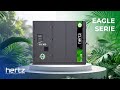 Meet the Eagle Series!